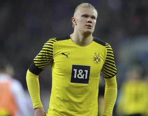 球迷的情绪 球迷的情绪